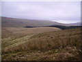  : Above Crookshaw Gill by Michael Graham