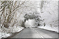  : Belmore Lane climbing the hill through High Wood after April snow by Peter Facey