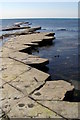 SY9079 : Washing Ledge, Kimmeridge Bay by Jim Champion