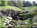 NY7976 : Cascade and pool at Stonehaugh by Brian Norman