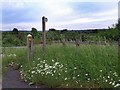 ST5585 : Footpath near the motorway by Steve  Fareham