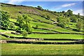 SE0199 : Lower Slopes of Calver Hill by Mick Garratt