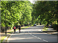 TQ3371 : College Road, rising towards Crystal Palace by Stephen Craven