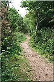  : Bridleway through Cusveorth Coombe by Tony Atkin