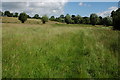 ST8991 : Footpath to Tetbury by Philip Halling