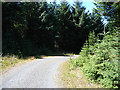 SN7386 : Forestry road near Nant-y-moch by John Lucas