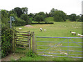 SO8026 : Footpath to Hartpury by Pauline E