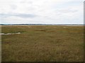 NH9259 : Saltmarsh near Culbin Forest by Lis Burke