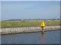 SJ4979 : Frodsham Marshes from Manchester Ship Canal by Renata Edge