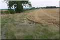  : Farmland near Langar Airfield by Mat Fascione