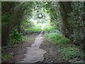  : Footpath to Barnstone by Mat Fascione