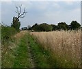  : Public footpath near Langar Airfield by Mat Fascione