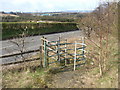 NS6860 : Clyde Walkway enters Brickworks Hill woodland by Lairich Rig