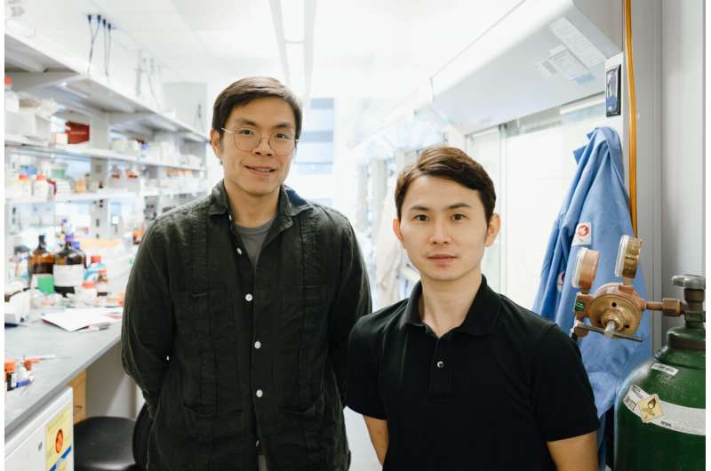 New molecule-creation method a 'powerful tool' to accelerate drug synthesis and discovery