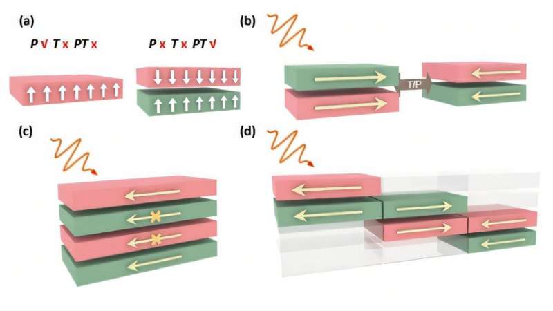 Nonlinear skin effect unveiled in antiferromagnetic materials