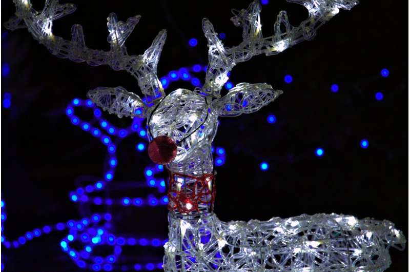 rudolph decoration