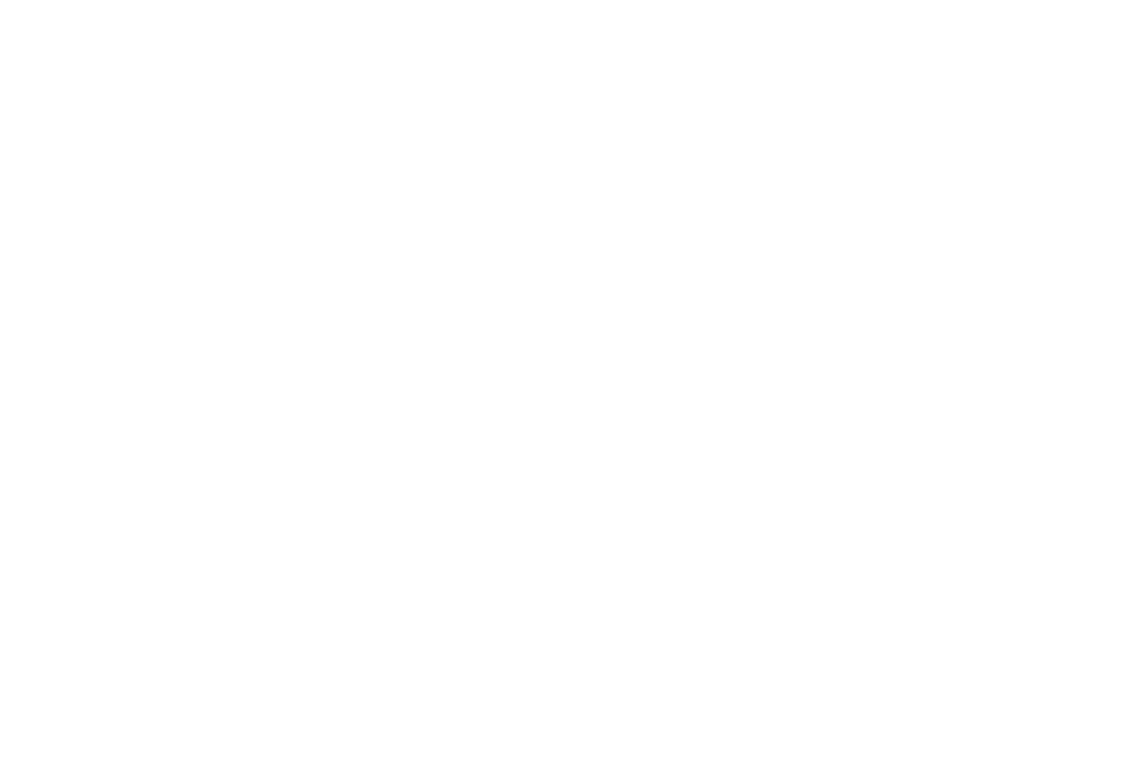 SEO/BirdLife Logo