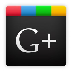 Google +1