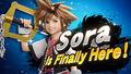 Sora's splash art.