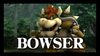 SubspaceIntro-Bowser.png