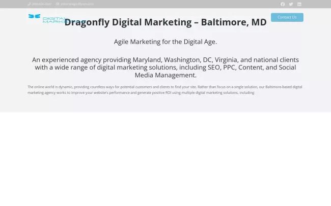 Dragonfly Digital Marketing