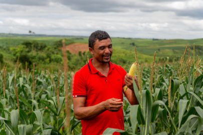 Hoje, o produtor Nelson Coelho Aragão Junior, 40 anos, planta milho em uma área de aproximadamente 50 hectares | Divulgação/Corteva Agriscience