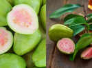 7 Reasons to make Guava a part of your winter diet