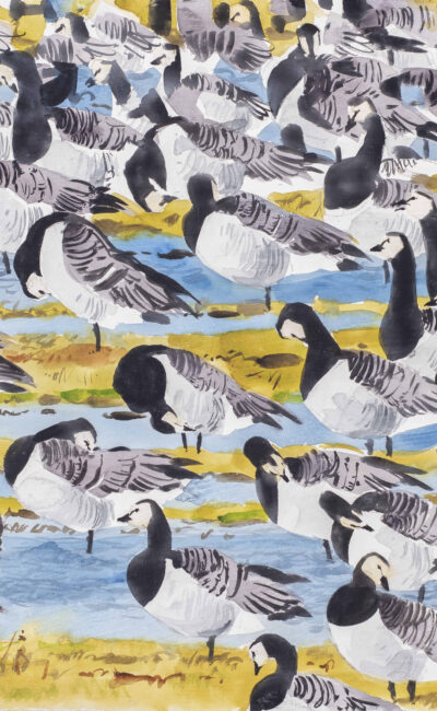 Barnacle Geese, Højer by Ben Woodhams