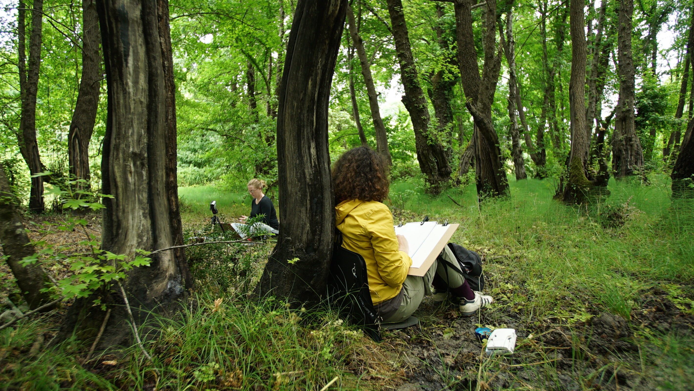   SWLA members working with Turkish counterparts during the Turkish Sweetgum project © Cengiz Tapan