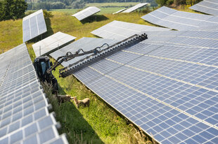 Mehrere Solar-Panels auf einer Wiese, dazwischen zwei Schafe