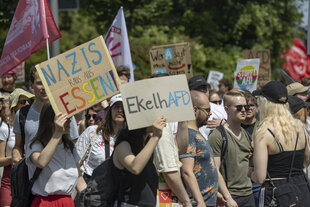 Zahlreiche Menschen protestieren gegen den Parteitag der AfD