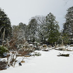 Ikarashi Tei Garden - 雪の庭園