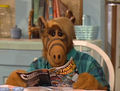 ALF.jpg