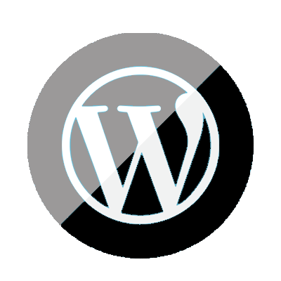 WordPress Developer