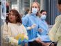 Grey's Anatomy TV Show on ABC: canceled or renewed?