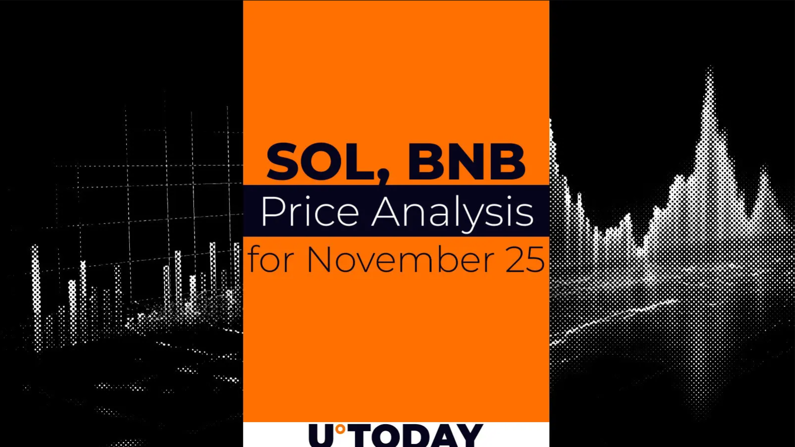 SOL and BNB Price Prediction for November 25