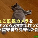 ねこ監視カメラを余ってるスマホで作ってお留守番を見守った話