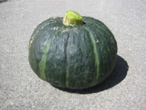 Tipo "Kabocha", en Estados Unidos incluido en los de tipo "Buttercup".