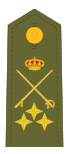 Teniente general