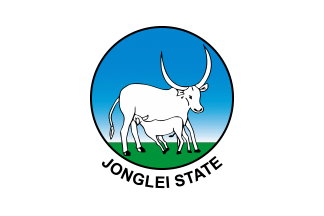 File:Flag of Jonglei.png