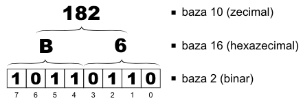 10110110 în baza 2 (binar) = B6 în baza 16 (hexazecimal) = 182 în baza 10 (zecimal)