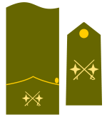 Teniente general