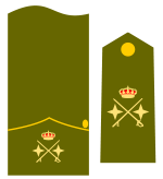 Teniente general