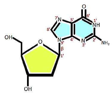 Desoxiguanosina