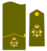 Teniente general