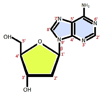 Desoxiadenosina