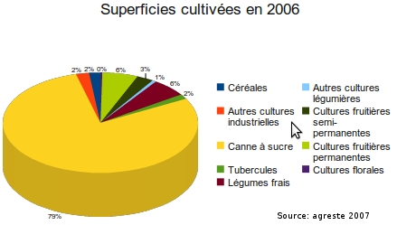 Surfaces cultivées à La Réunion