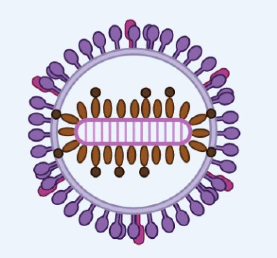 Life-12-00103-g001-Ribozyviruses