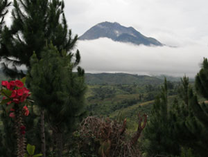 The summit of Mount Apo on Mindanao is the highest point in the Philippine Archipelago.