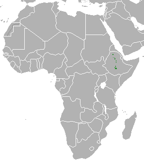 Arealo de etiopia lupo